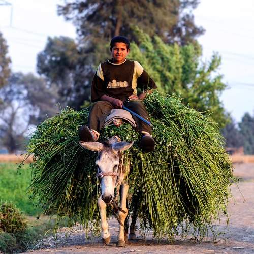 Photo #6425950