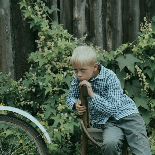 Photo #6426142