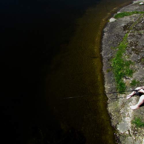 Photo #6427315