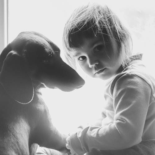 Photo #6427351