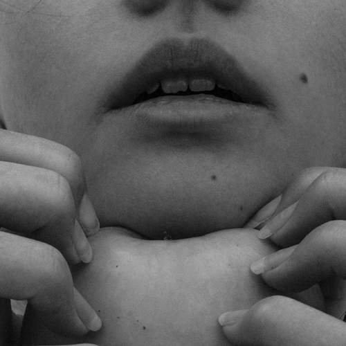 Photo #6427411