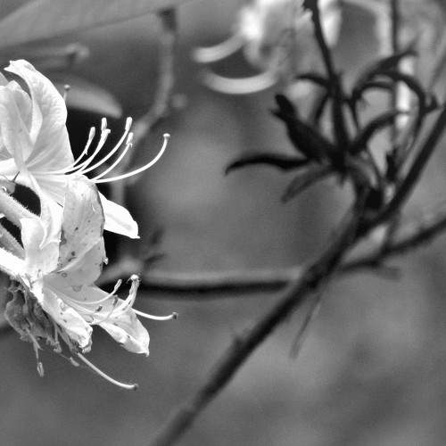 Photo #6427769