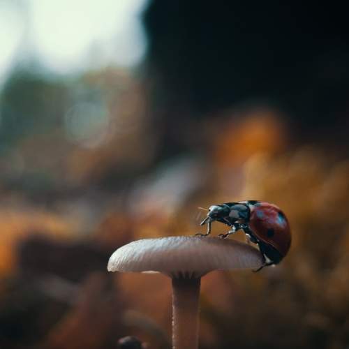 Photo #6427858