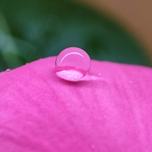 Photo #6429176