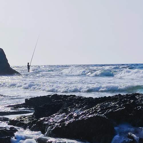 The man and the sea