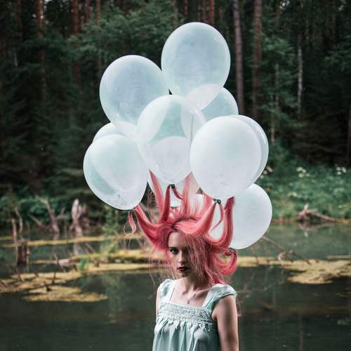 Photo #6429484