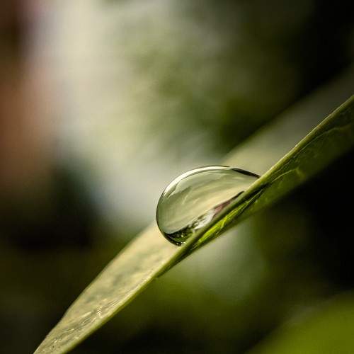 Photo #6429934
