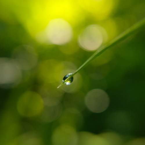 Photo #6430757