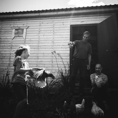 Photo #6430869