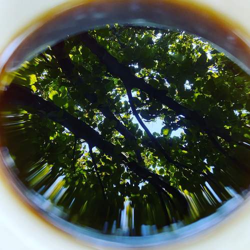 Photo #6430911