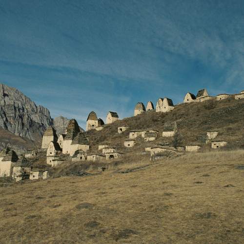 Photo #6431204