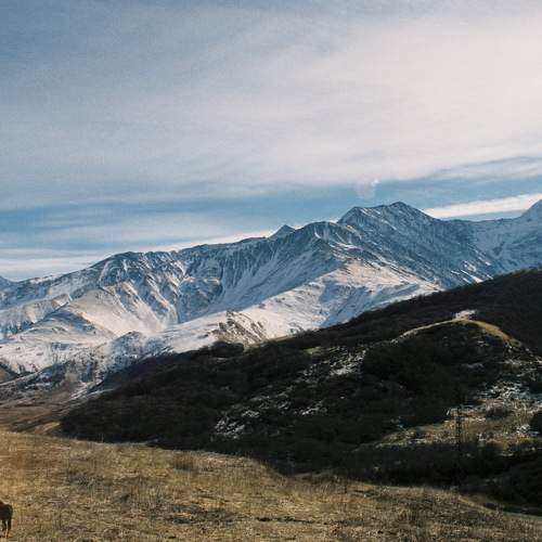 Photo #6431205