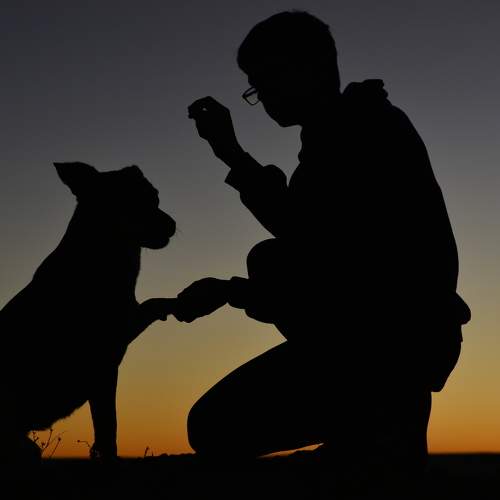 Inseparables