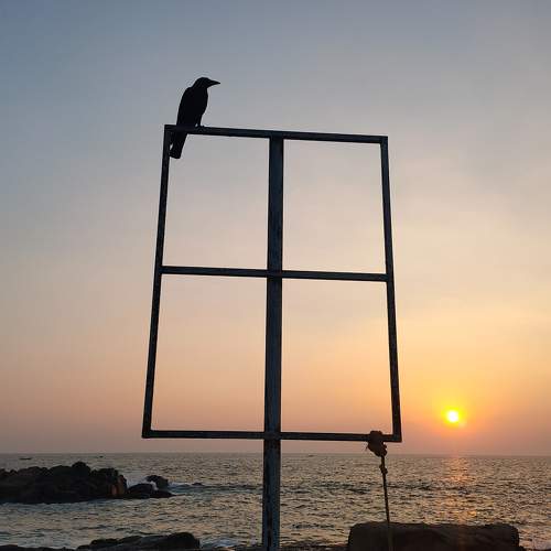Photo #6431876
