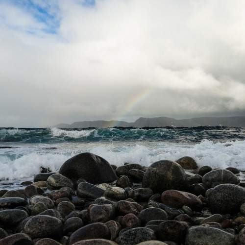 Photo #6431921