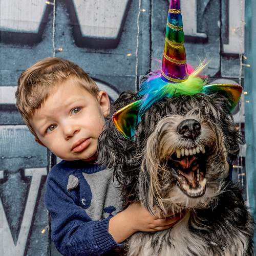 Photo #6431984
