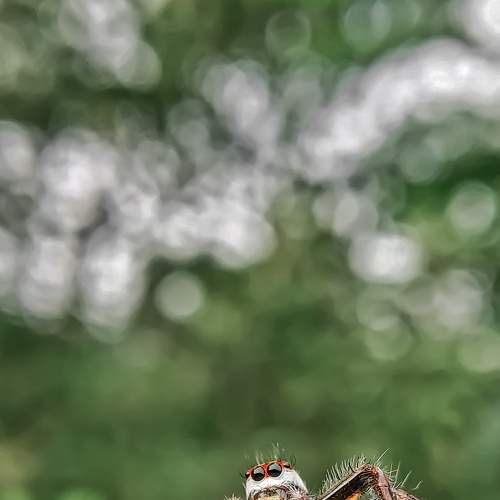 Photo #6432007
