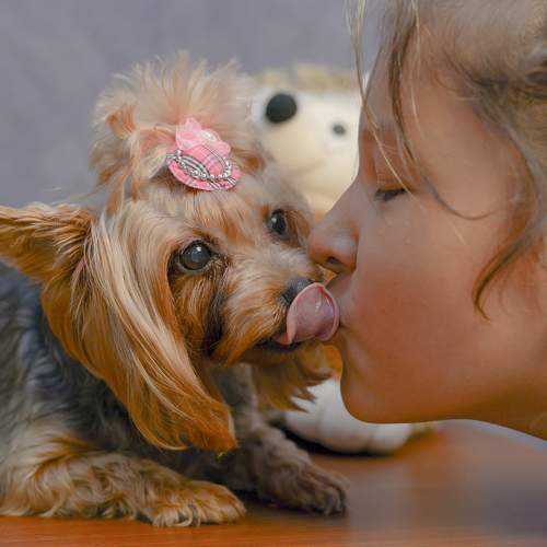 Photo #6432234
