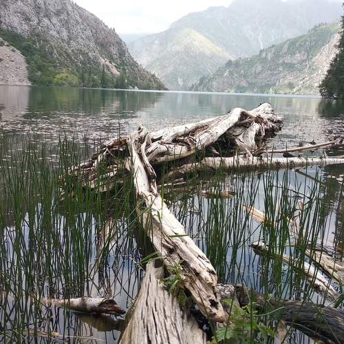 Photo #6432243
