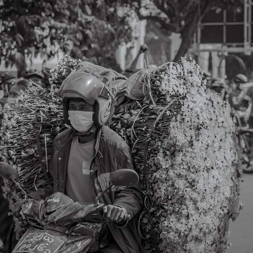 Photo #6433047