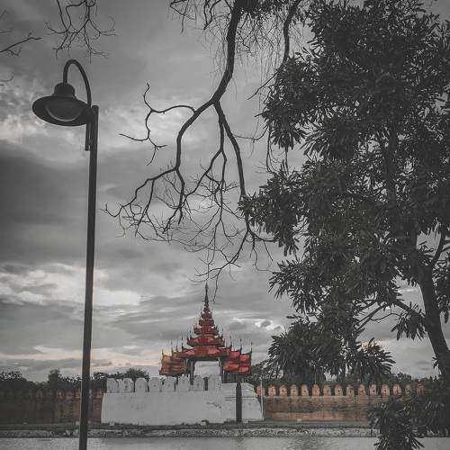 Photo #6433071