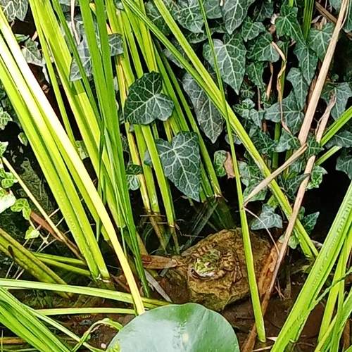 Photo #6433135