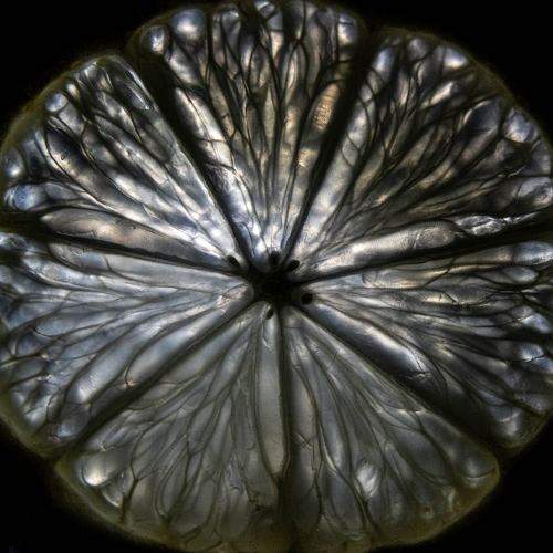 Photo #6433491