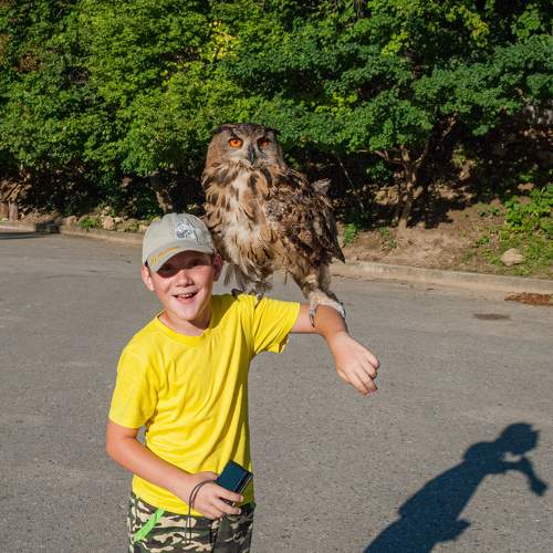 Photo #6433810