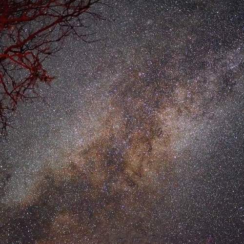 Photo #6434204