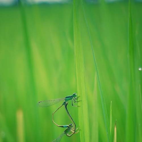 Фотография #6434492