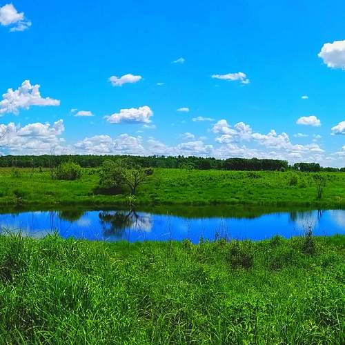 Photo #6434543