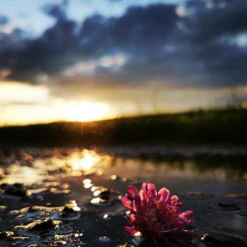 Photo #6435028