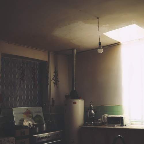 Photo #6435333