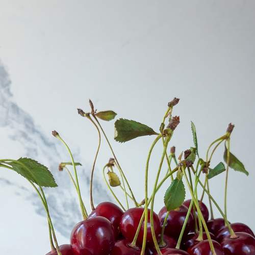 Photo #6436027