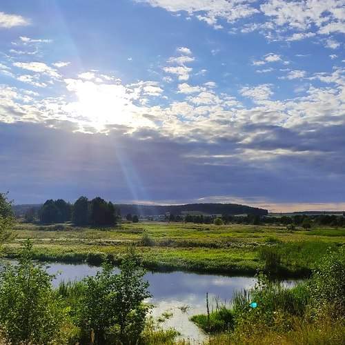 Photo #6436628