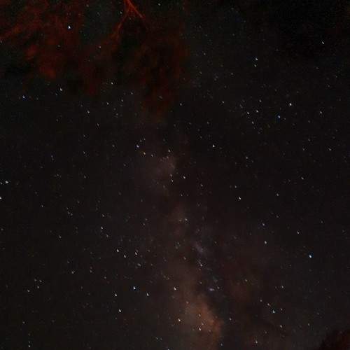 Photo #6436721