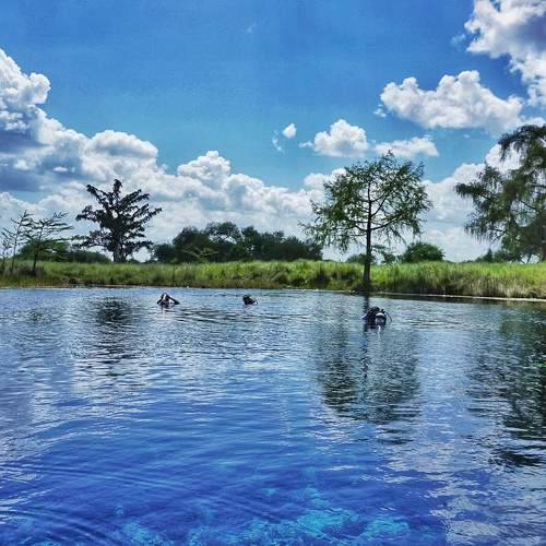 Photo #6436723