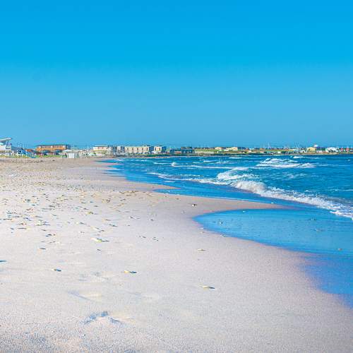 Photo #6436819