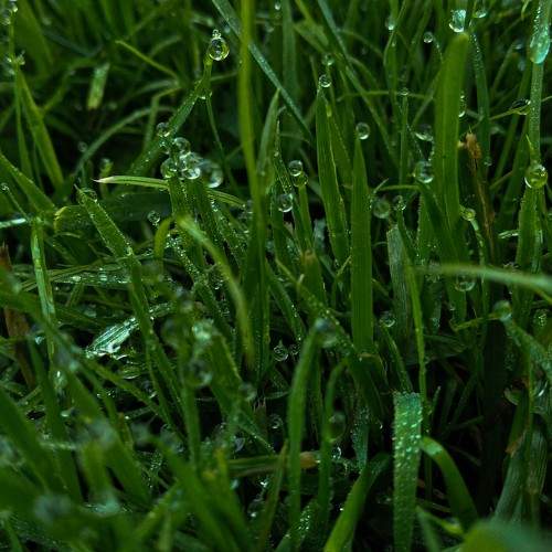 Photo #6437276
