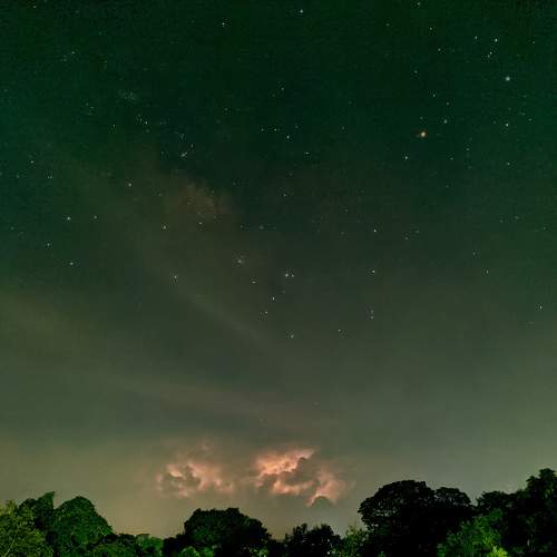 Photo #6437478