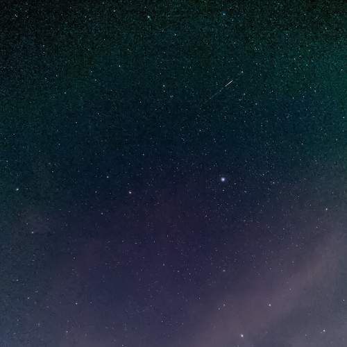 Photo #6437480