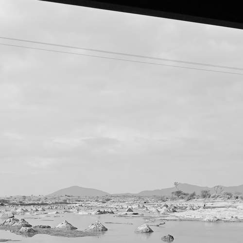 Photo #6437718