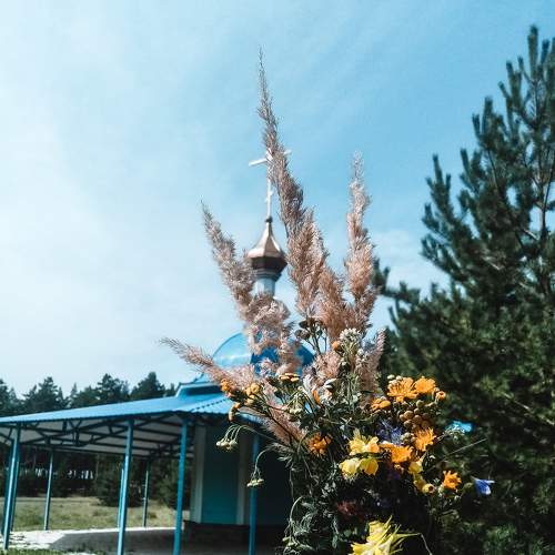 Photo #6437801