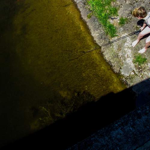 Photo #6438040