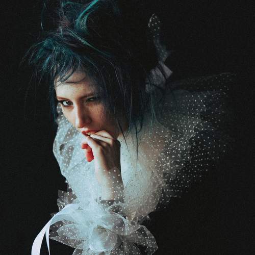 Photo #6438169