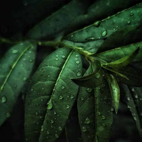 Photo #6438454
