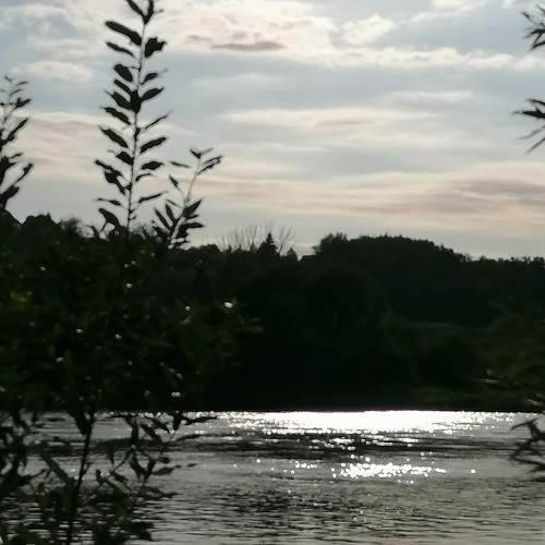 Photo #6438886