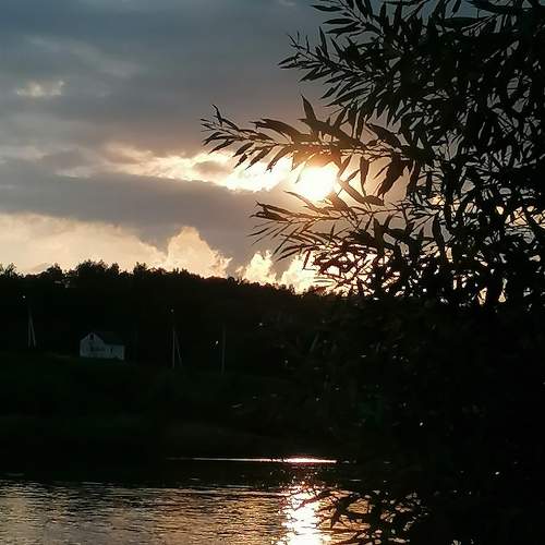 Photo #6438887