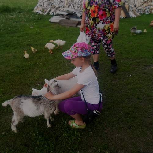 Photo #6438889