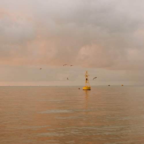 Photo #6438914